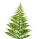 Aga Dro profile picture